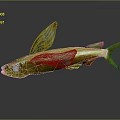 Yellow Fish With Green Wing Like Fins And Reflection On Gray Background