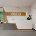 Modern Educational Reception Interior with White Desk Marble Wall Wooden Elements and Green Plant