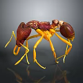 Detailed 3D Rendered Ant With Red Yellow Body And Long Yellow Legs