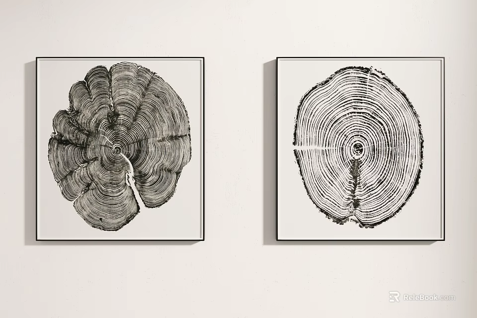 Black and White Tree Ring Artwork Framed Wall Decor Hanging on White Wall 3d model