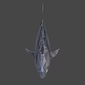 Low Poly Shark 3D Model Featuring Geometric Design And Open Mouth