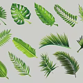 Palm Tree Silhouette 3d model
