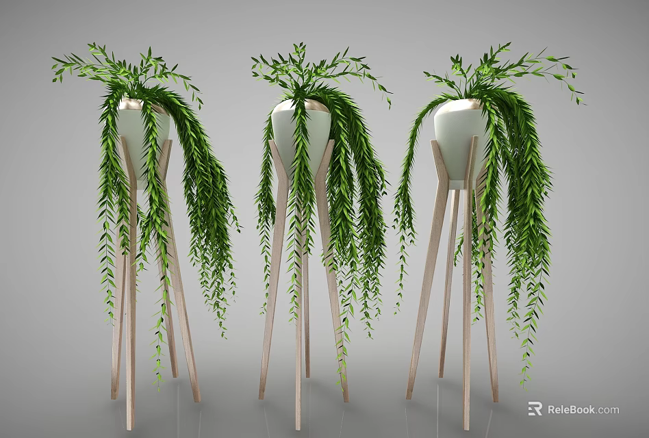Bonsai Potted Plants with Hanging Green Vines in White Pots on Wooden Tripods Gray Background 3d model 