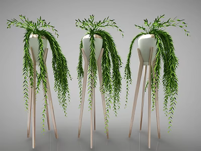 Bonsai Potted Plants with Hanging Green Vines in White Pots on Wooden Tripods Gray Background 3d model