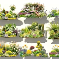 Diverse Flower and Plant Combinations with Colorful Blooms and Lush Foliage