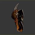 Vibrant Orange Brown Moth With Spotted Patterned Wings On Reflective Dark Background