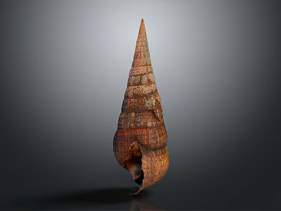 Natural Brown Textured Conical Shell Decorative Ornament For Home Decor Accent 3d model