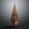 Natural Brown Textured Conical Shell Decorative Ornament For Home Decor Accent