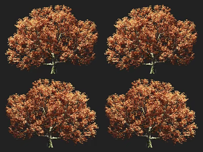 Autumn Arbor With Orange Red Leaves Full Crown And Multiple Views 3d model