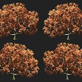 Autumn Arbor With Orange Red Leaves Full Crown And Multiple Views 3d model