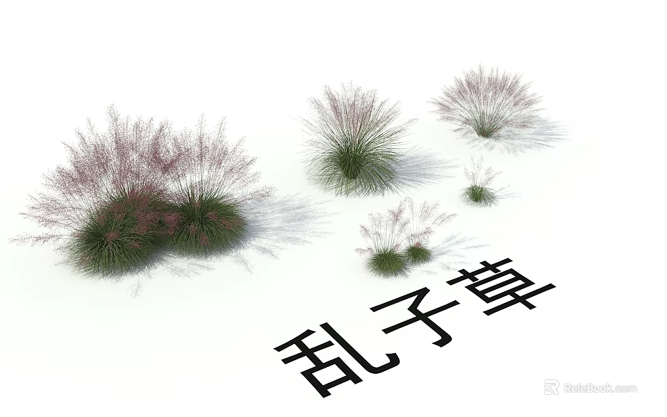 Clump Forming Switchgrass Garden Plants With Colorful Foliage And Various Sizes On White Background 3d model 