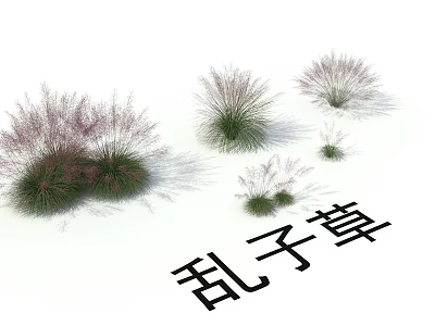 Clump Forming Switchgrass Garden Plants With Colorful Foliage And Various Sizes On White Background 3d model