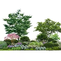 Lush Green Shrubs With Various Trees Purple Flowers And White Blooms
