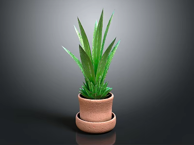 Green Leaf Plant with Long Leaves in Two Tiered Terracotta Pot on Dark Background 3d model