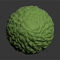 Green Textured Biological Fruit With Detailed Surface Structure And Organic Shape