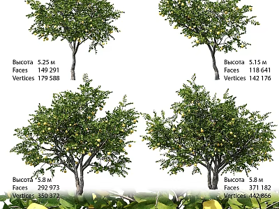 Vintage Tree Rosaceae pink Trunk Branches Leaves 3d model