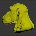 Monkey Head Model With Half White And Red Muscle Anatomy Yellow Eyes
