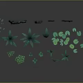 Lush Green Hanging Plants And Various Small Foliage On Dark Reflective Surface