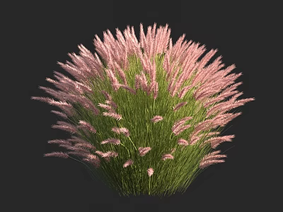 Round Shaped Decorative Plant With Pink Spike Flowers And Green Leaves 3d model