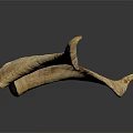 Two Natural Animal Horns With Textured Surface On Dark Background And Reflection