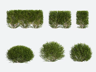Shrub modeling tree gardening 3d model