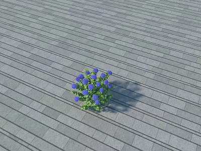 Small Cluster of Blue Flowers with Green Leaves on Gray Wooden Floor 3d model