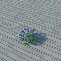Small Cluster of Blue Flowers with Green Leaves on Gray Wooden Floor