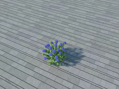 Small Cluster of Blue Flowers with Green Leaves on Gray Wooden Floor 3d model