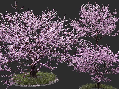 Vibrant Arbor With Pink Flower Blossoms And Green Grass In Natural Landscape 3d model