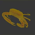 Red Crab Close Up View With Vibrant Color And Detailed Claws On Dark Background