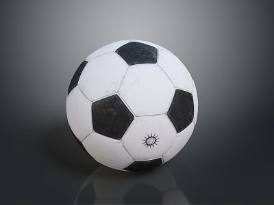 Black And White Panel Soccer Ball Sports Equipment With Sun Logo On Surface 3d model