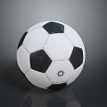 Black And White Panel Soccer Ball Sports Equipment With Sun Logo On Surface