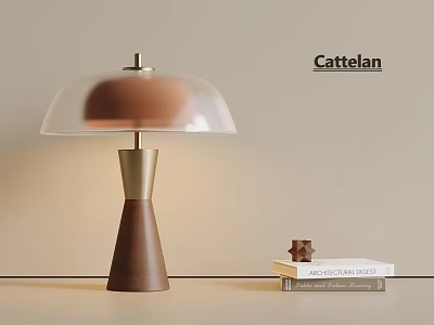 Cattelan Modern Table Lamp With Wooden Base Golden Pole Transparent Lampshade And Decorative Books 3d model