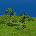 Modern tree modeling tree 3d model