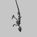 Full Crocodile Skeleton With Detailed Skeletal Structure For Scientific Study