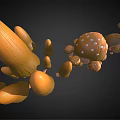 Detailed 3D Models of Various Mushroom Vegetables with Different Shapes and Sizes