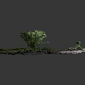 Green Moss Decorative Ornament With White Stone Base For Home Living Room Desktop Decoration