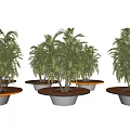Outdoor Garden Decor Featuring Round Wooden Planter Green Palm Plant Pebble Accent And Gray Base