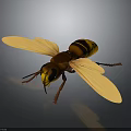 Detailed Yellow and Brown Wasp with Transparent Yellow Wings on Gray Background