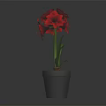 Red Flower Garden Decor with Green Leaves in Gray Pot