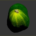 White Cucumber Water Cucumber Dry Cucumber Green Cucumber South China Cucumber European Greenhouse Cucumber Fruit Cucumber 3d model