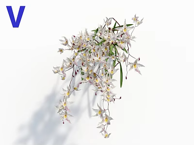Hanging White Flower Cluster With Green Leaves And Yellow Purple Accents On White Background 3d model