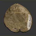 Rock Block Rock Block Rock Specimen Boulder Big Stone Block Rock Stratum Rock Stratum Rock Stratum Rock 3d model