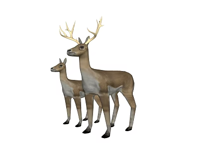 Adult Deer With Antlers And Fawn Standing On White Background 3d model