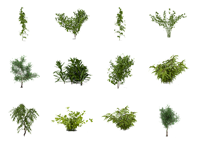 Modern shrubs 3d model