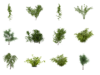 Modern shrubs 3d model