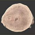 Natural Wooden Round Slice With Tree Ring Grain And Smooth Surface Decorative Piece 3d model