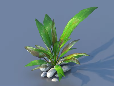 Fresh Green Leaf Plant With Decorative Stones And Natural Foliage Design 3d model
