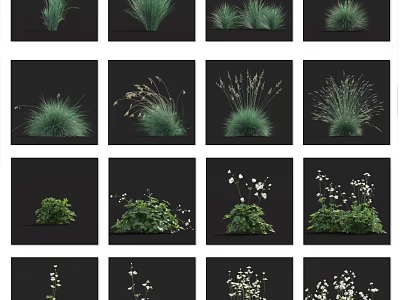 Various Decorative Garden Herbs And Flowers With Green Foliage And White Blooms 3d model