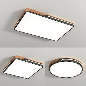 Modern ceiling lamp Simple ceiling lamp 3d model